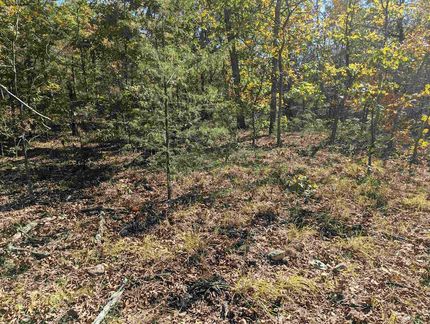 Farm and Ranch for sale in Fulton County, Arkansas