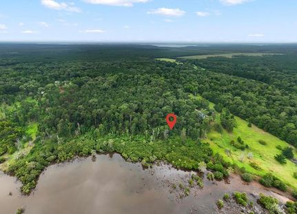Land for sale in San Augustine County, Texas