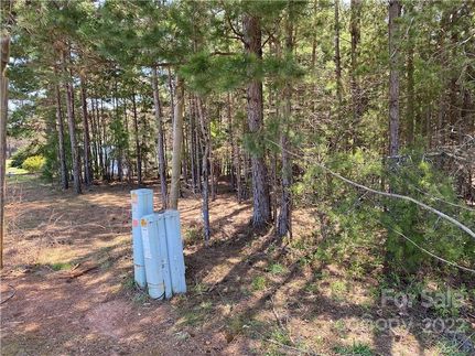 Undeveloped Land for sale in Lincoln County, North Carolina