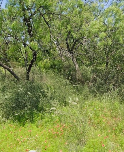 Homesite for sale in Llano County, Texas