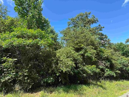 Recreational Property for sale in Caldwell County, Kentucky