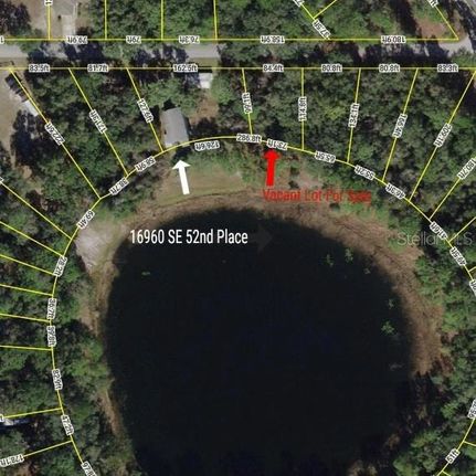 Undeveloped Land for sale in Marion County, Florida