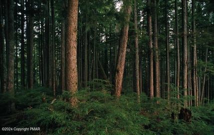 Undeveloped Land for sale in Monroe County, Pennsylvania