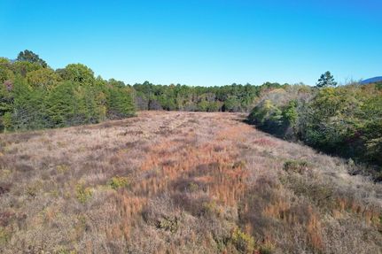 Land for sale in Polk County, Tennessee
