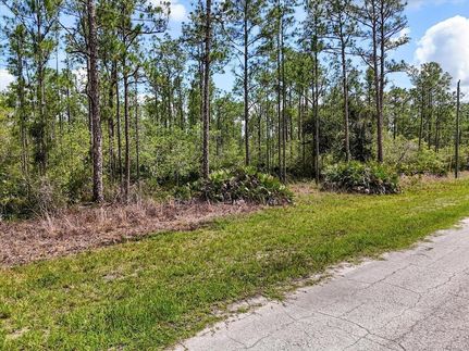 Land for sale in Polk County, Florida