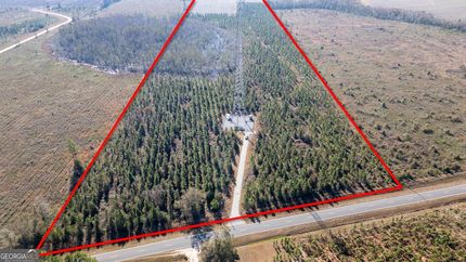 Undeveloped Land for sale in Appling County, Georgia