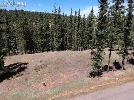Undeveloped Land for sale in Teller County, Colorado