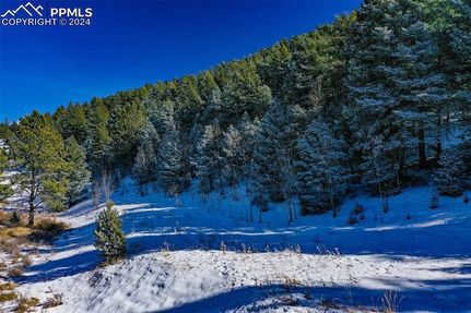 Homesite for sale in Teller County, Colorado