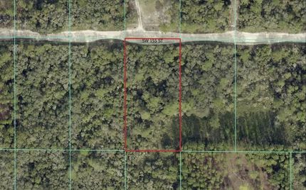 Undeveloped Land for sale in Marion County, Florida