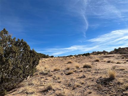 Land for sale in Rio Arriba County, New Mexico