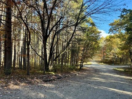 Undeveloped Land for sale in Mecosta County, Michigan
