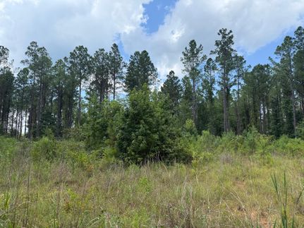 Land for sale in Hale County, Alabama