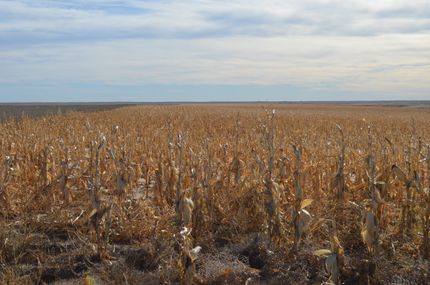 Land for sale in Cheyenne County, Colorado