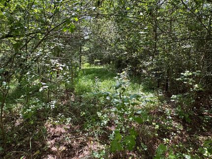 Timberland Property for sale in Talladega County, Alabama