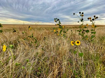Land for sale in Kiowa County, Colorado