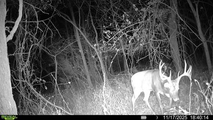 Recreational Property for sale in Montgomery County, Kansas