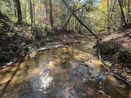Undeveloped Land for sale in Henry County, Alabama