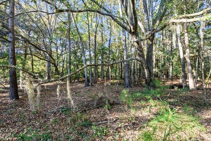 Farm and Ranch for sale in Charleston County, South Carolina