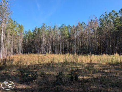 Recreational Property for sale in Hale County, Alabama