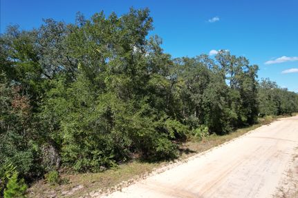Undeveloped Land for sale in Putnam County, Florida