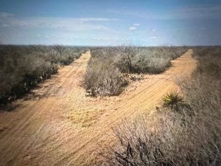 Land for sale in Live Oak County, Texas