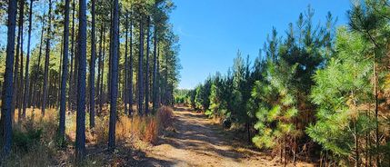 Timberland Property for sale in Caroline County, Virginia