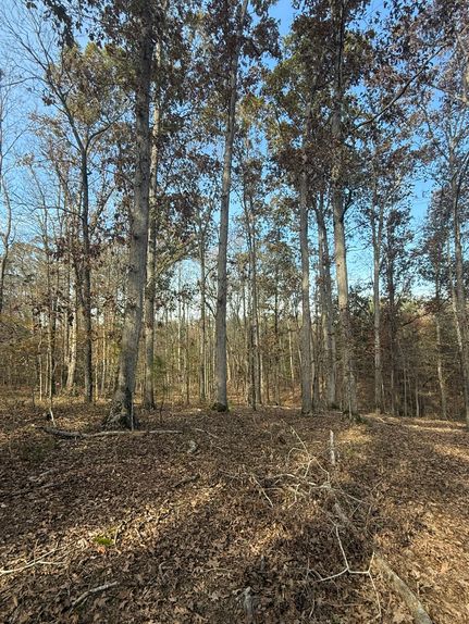 Land for sale in Newberry County, South Carolina