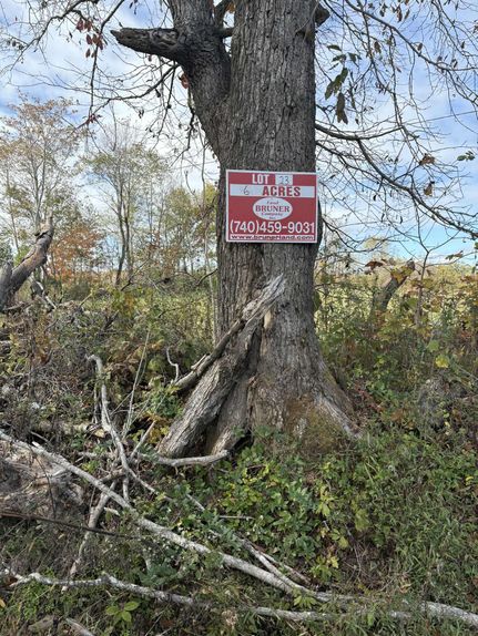 Land for sale in Lewis County, Kentucky