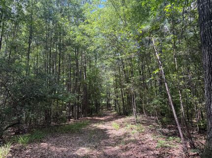 Recreational Property for sale in Hale County, Alabama