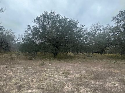 Farm and Ranch for sale in Medina County, Texas
