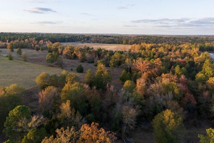 Undeveloped Land for sale in Smith County, Texas