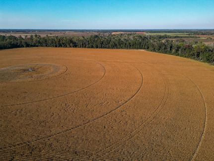 Land for sale in Calhoun County, Georgia