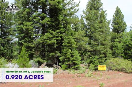 Undeveloped Land for sale in Modoc County, California