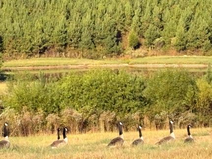 Horse Property for sale in Shelby County, Alabama