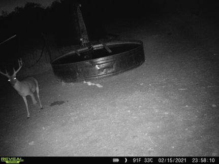 Land for sale in Mills County, Texas