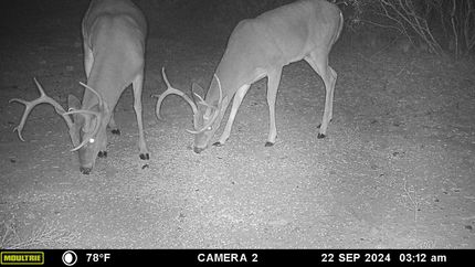 Farm and Ranch for sale in Brown County, Texas