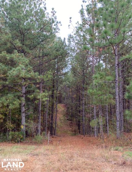 Land for sale in Shelby County, Alabama