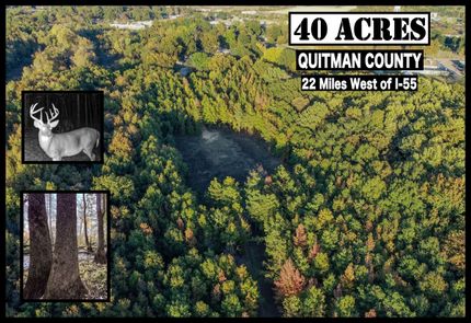 Recreational Property for sale in Quitman County, Mississippi