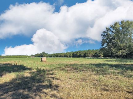 Farm and Ranch for sale in Dillon County, South Carolina