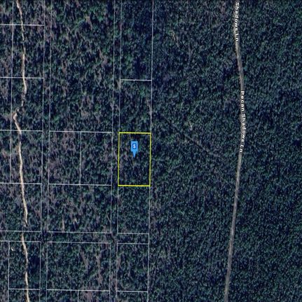 Farm and Ranch in Washington County, Florida