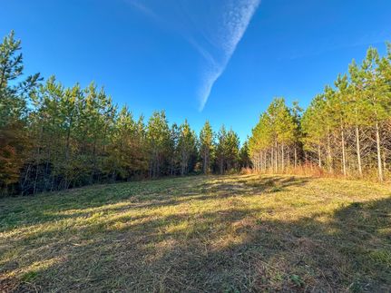 Undeveloped Land for sale in Harris County, Georgia