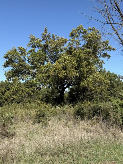 Land for sale in Randolph County, Missouri