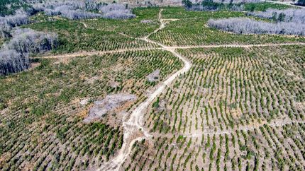 Timberland Property for sale in Washington County, Florida