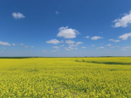 Farm and Ranch for sale in Burke County, North Dakota