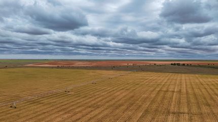 Farm and Ranch for sale in Terry County, Texas