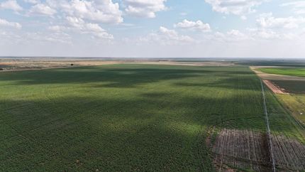 Farm and Ranch for sale in Gaines County, Texas