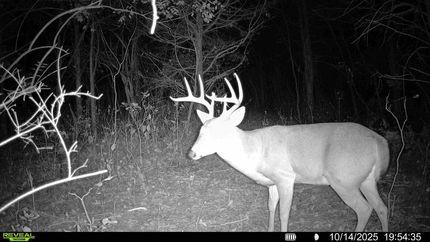 Farm and Ranch for sale in Kenton County, Kentucky