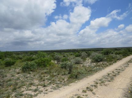 Farm and Ranch for sale in Val Verde County, Texas
