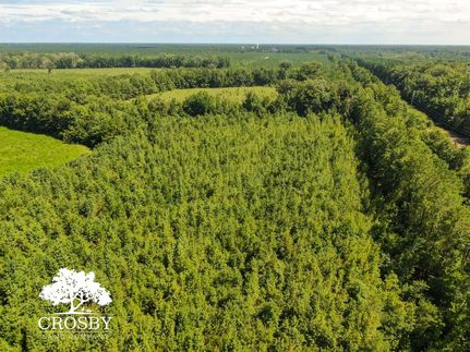 Farm and Ranch for sale in Marlboro County, South Carolina