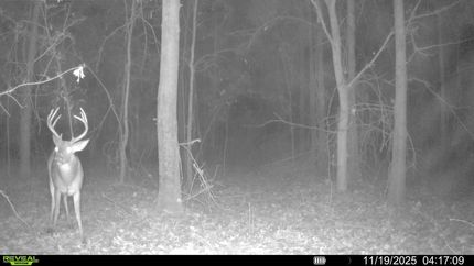 Land for sale in Crittenden County, Arkansas